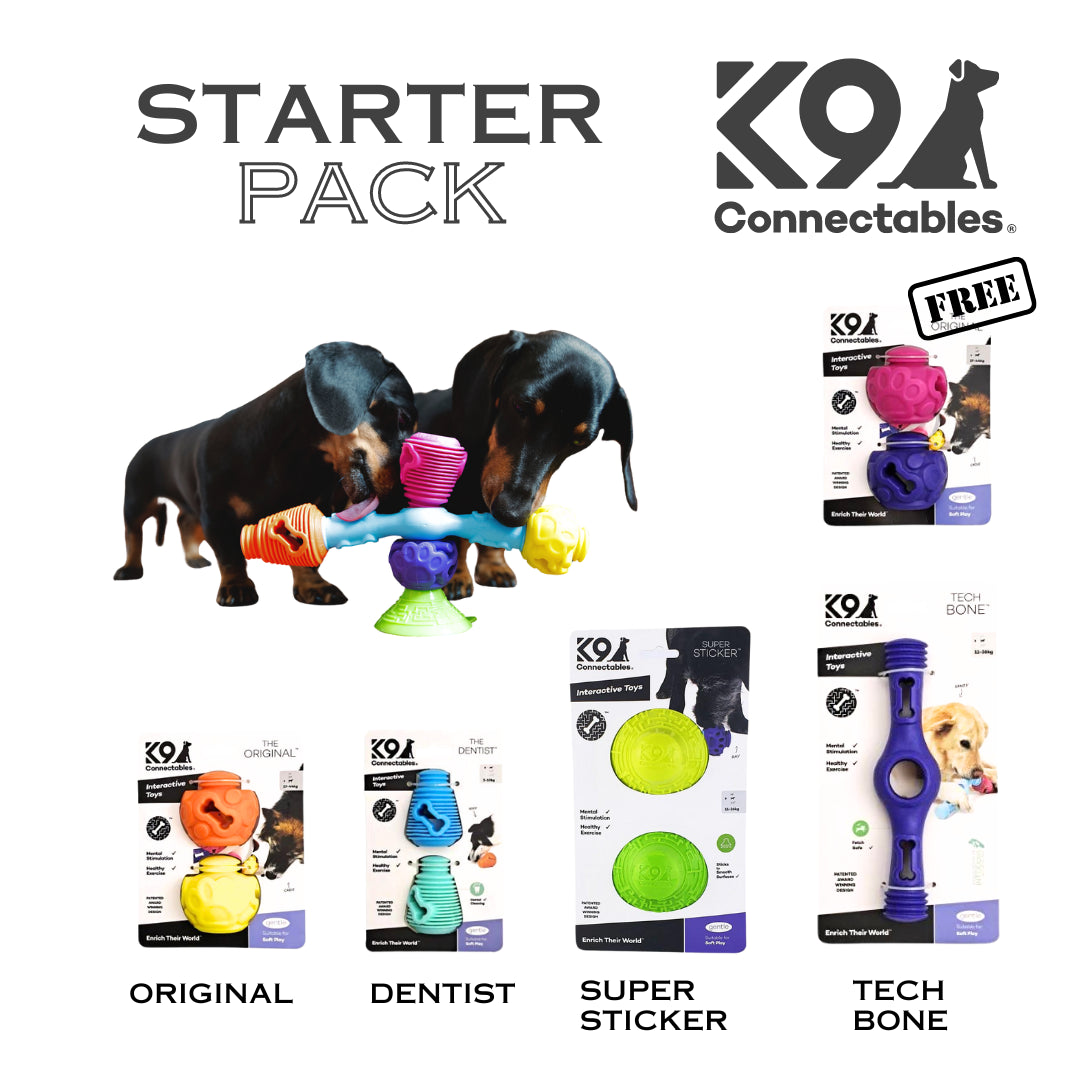 STARTER PACK - K9 Connectables Enrichment Bundle