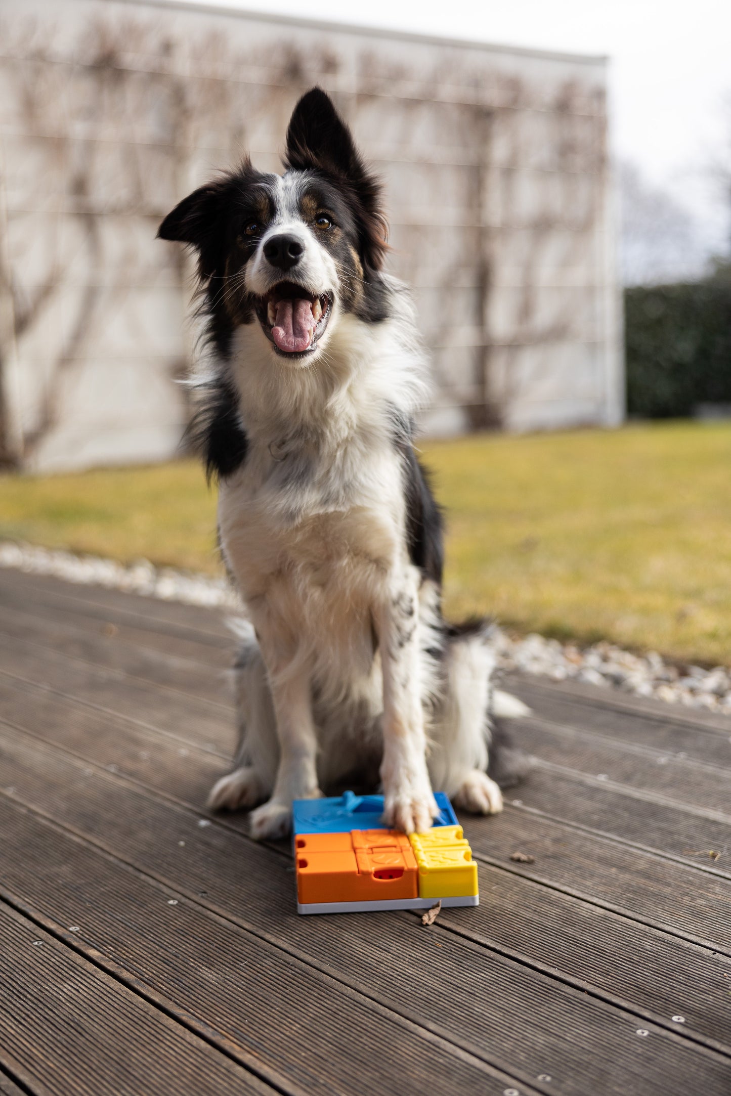 Pawzler Modular Dog Puzzles