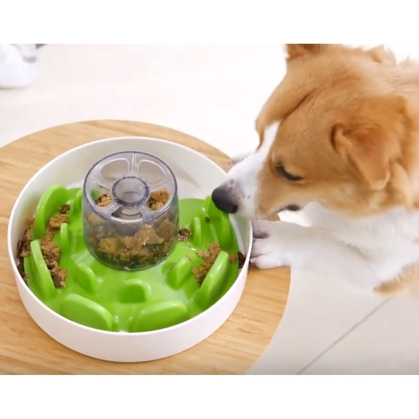 Pet Dreamhouse SPIN Interactive Slow Feeder UFO Maze