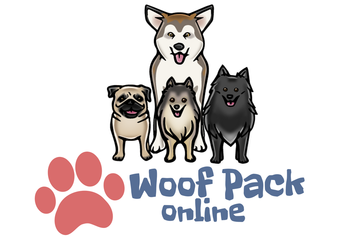 Shop Slow Feeders, Treat Makers, Food and Treat Dispensers for Dogs