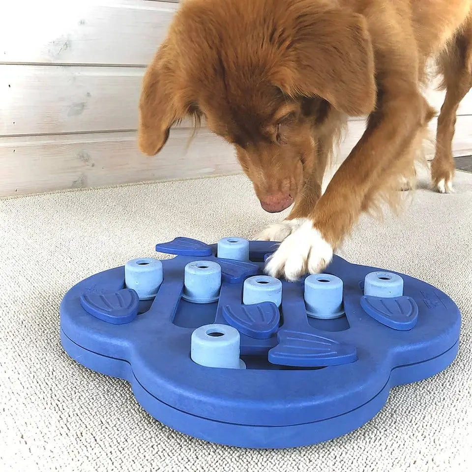 Hide and top slide dog toy