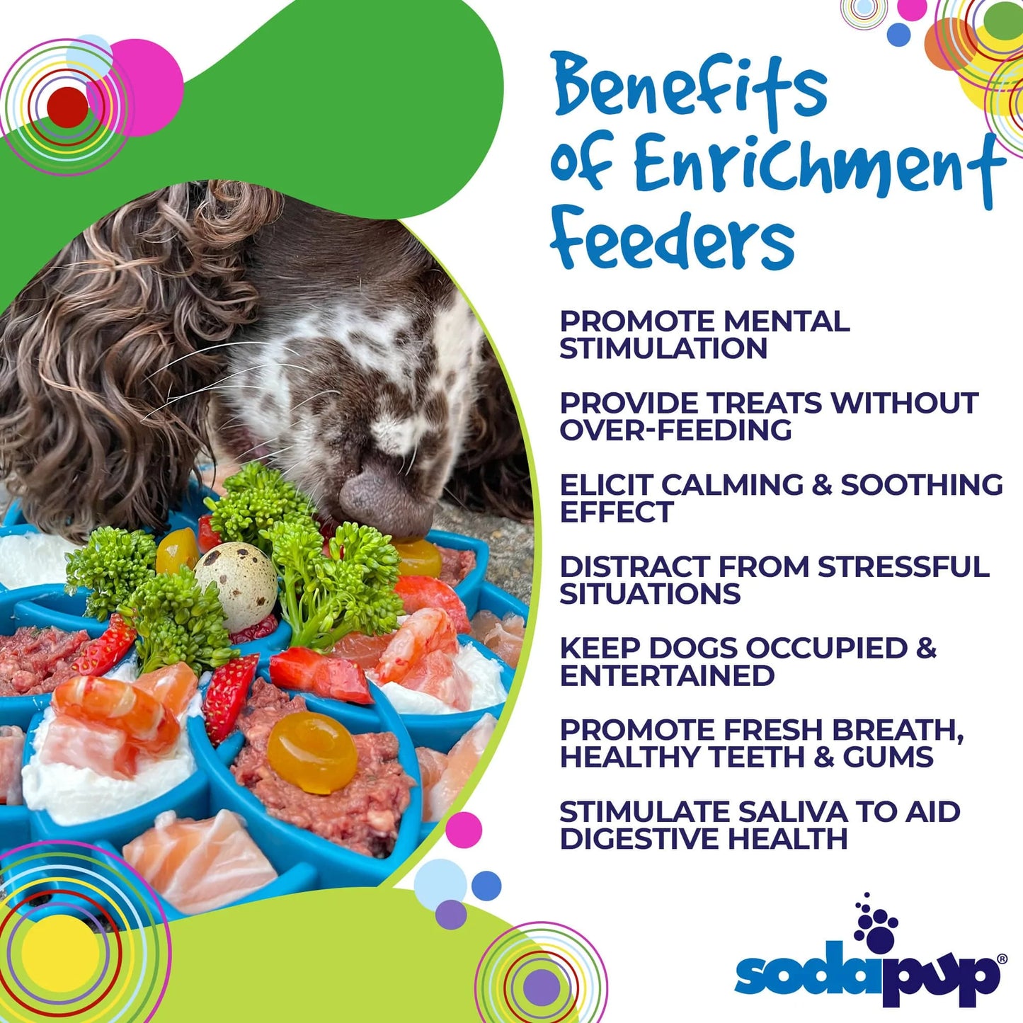 SodaPup Mandala etray Slow Feeder for Dogs