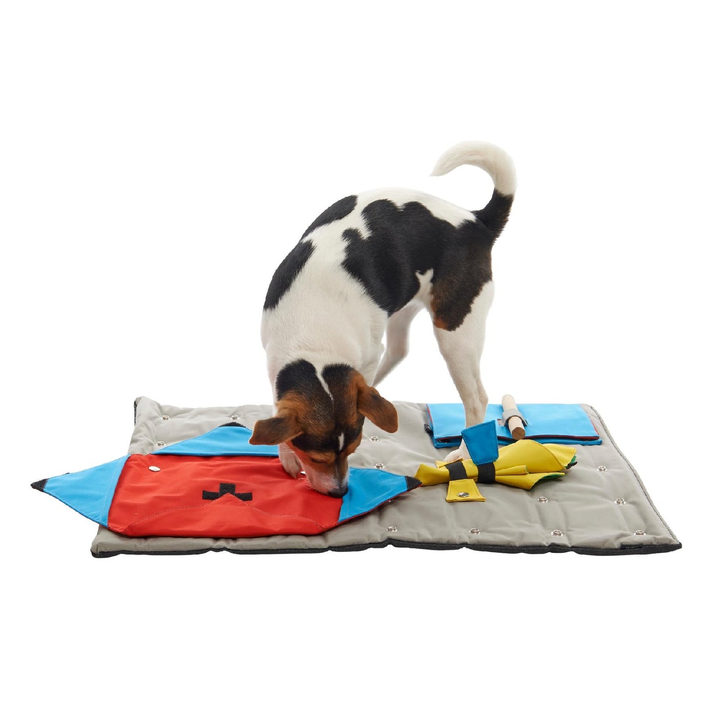 Buster Activity Mat Starter Set with 3 Activities