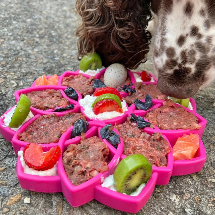 SodaPup Mandala etray Slow Feeder for Dogs