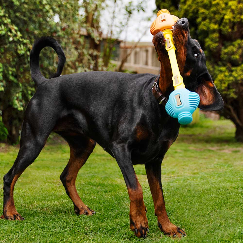 Pro Bundle K9 Connectables Enrichment Kit
