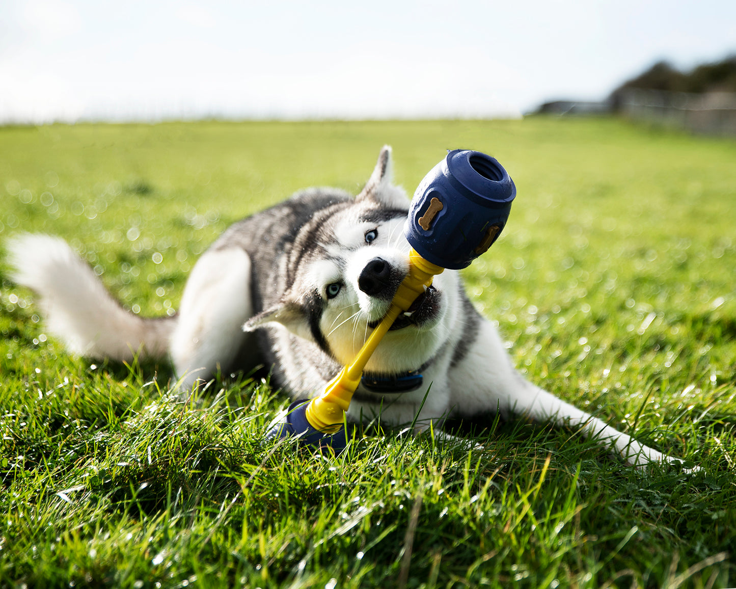 Ultimate Bundle - K9 Connectables Enrichment Kit