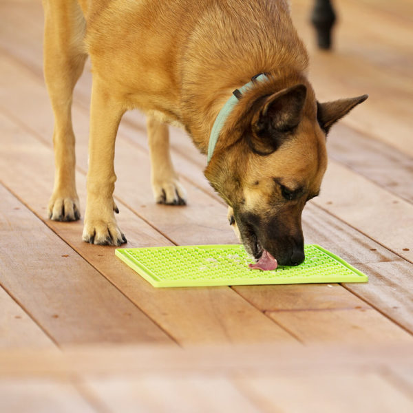 Lickimat™ Buddy Large
