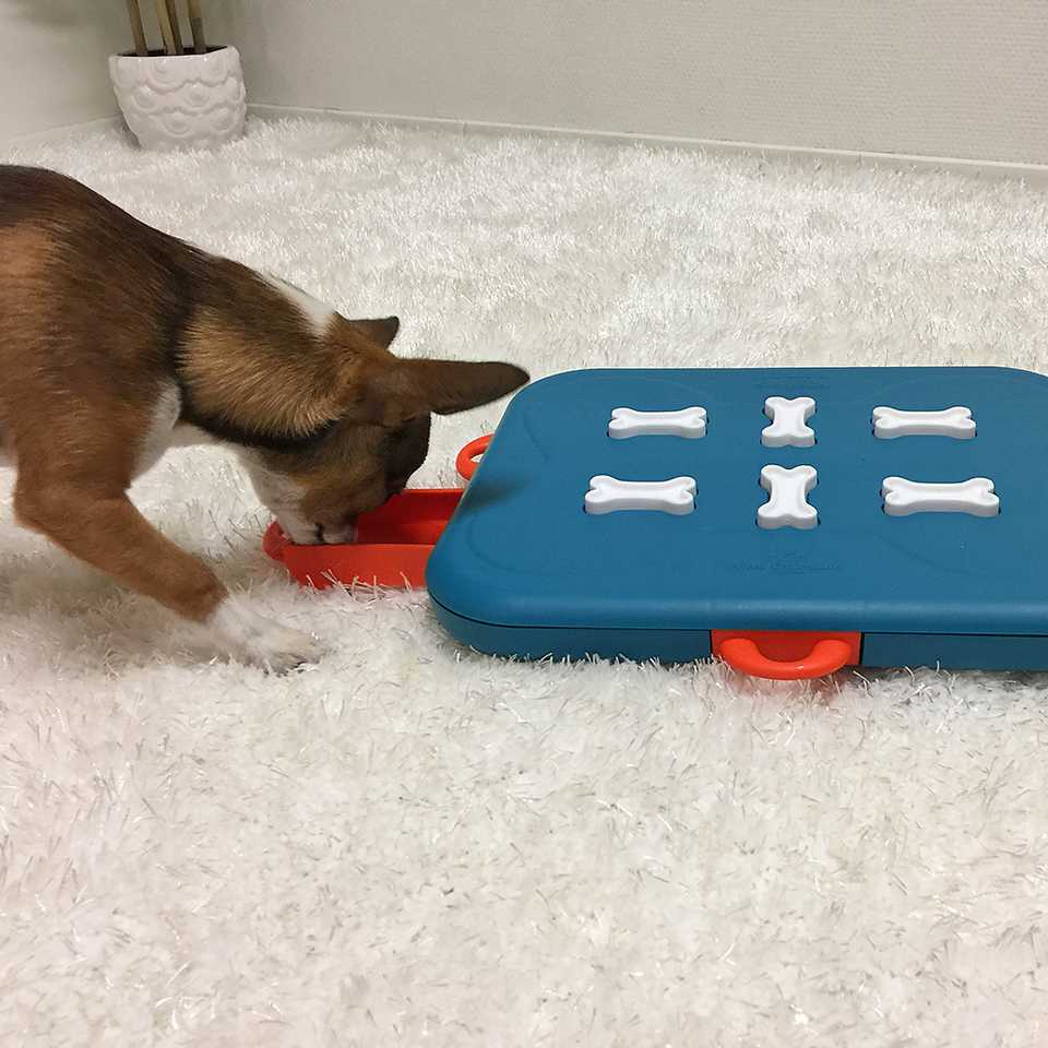 Dog Casino by Nina Ottosson