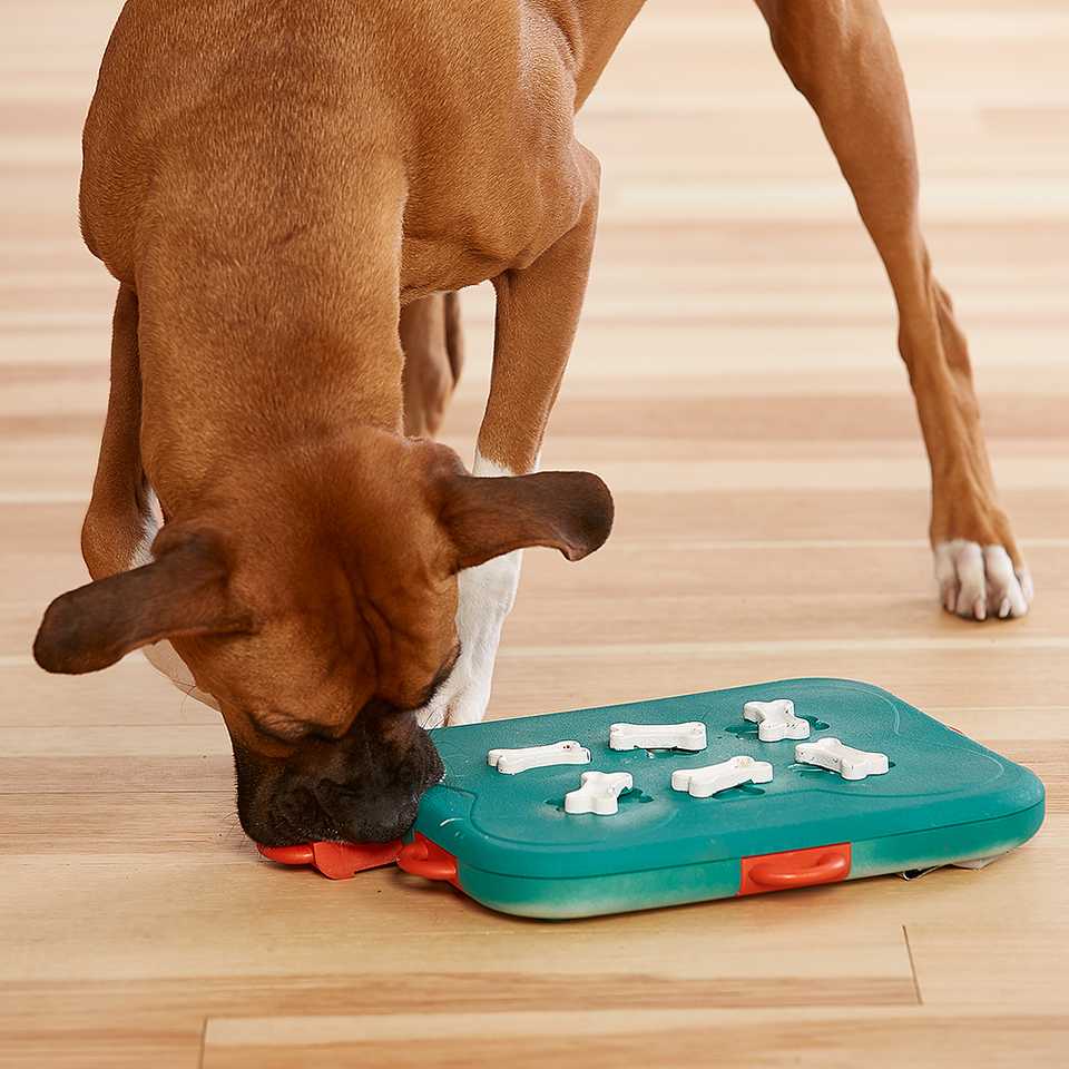 Dog Casino by Nina Ottosson