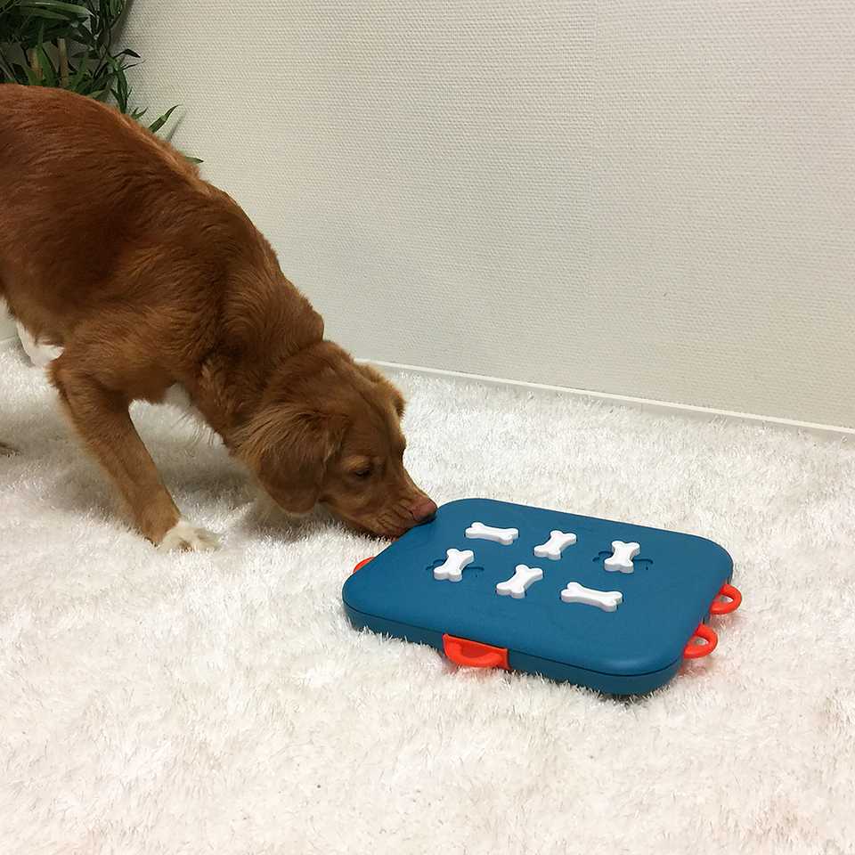 Dog Casino by Nina Ottosson