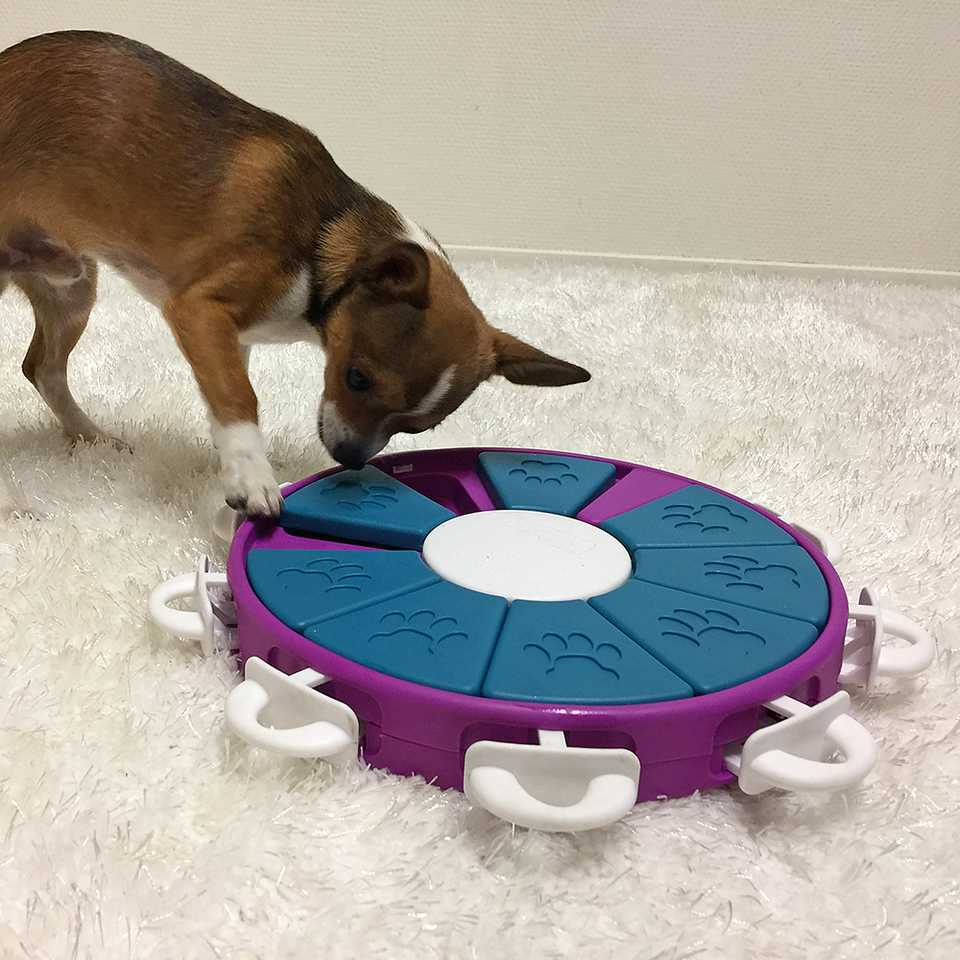Dog Twister by Nina Ottosson