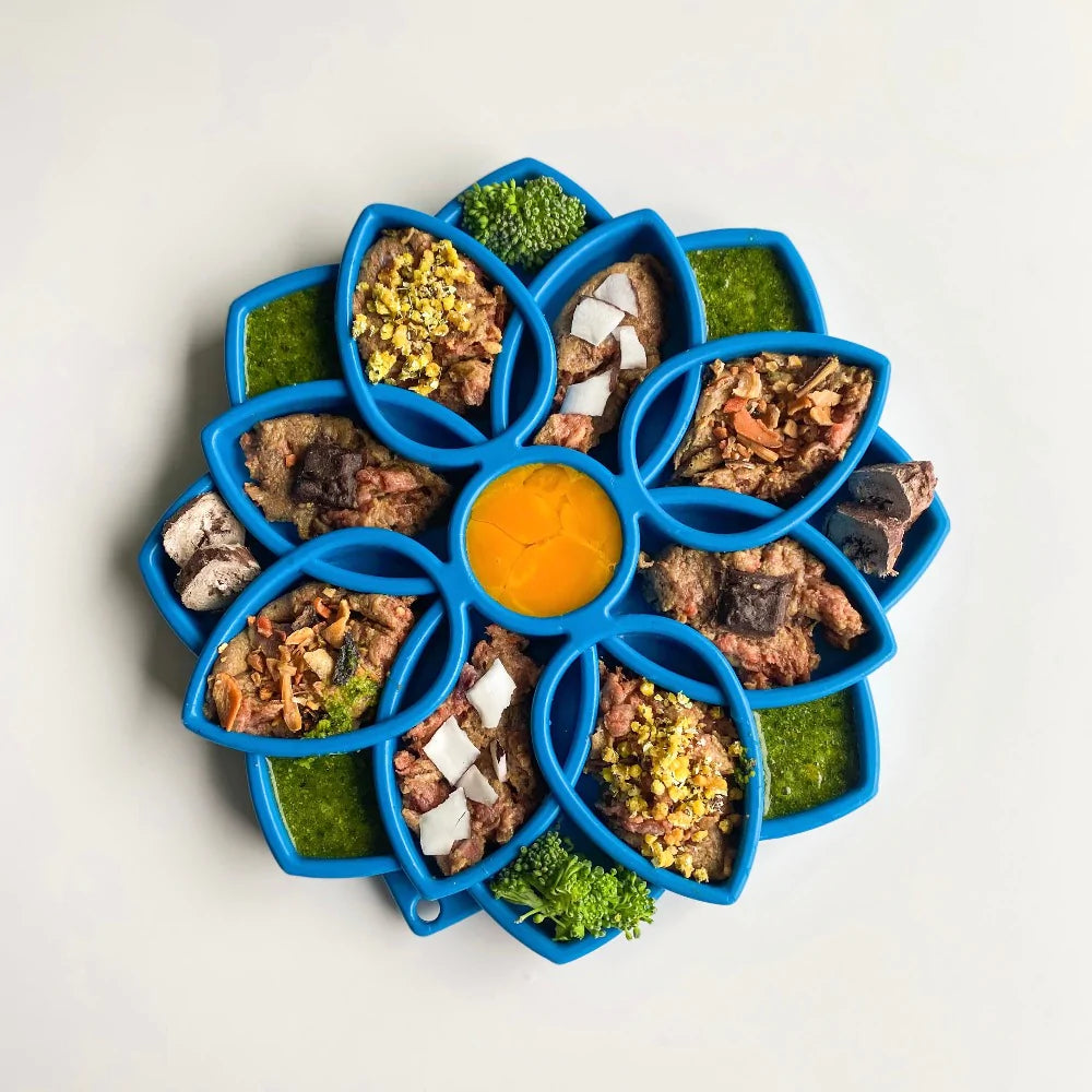 SodaPup Mandala etray Slow Feeder for Dogs