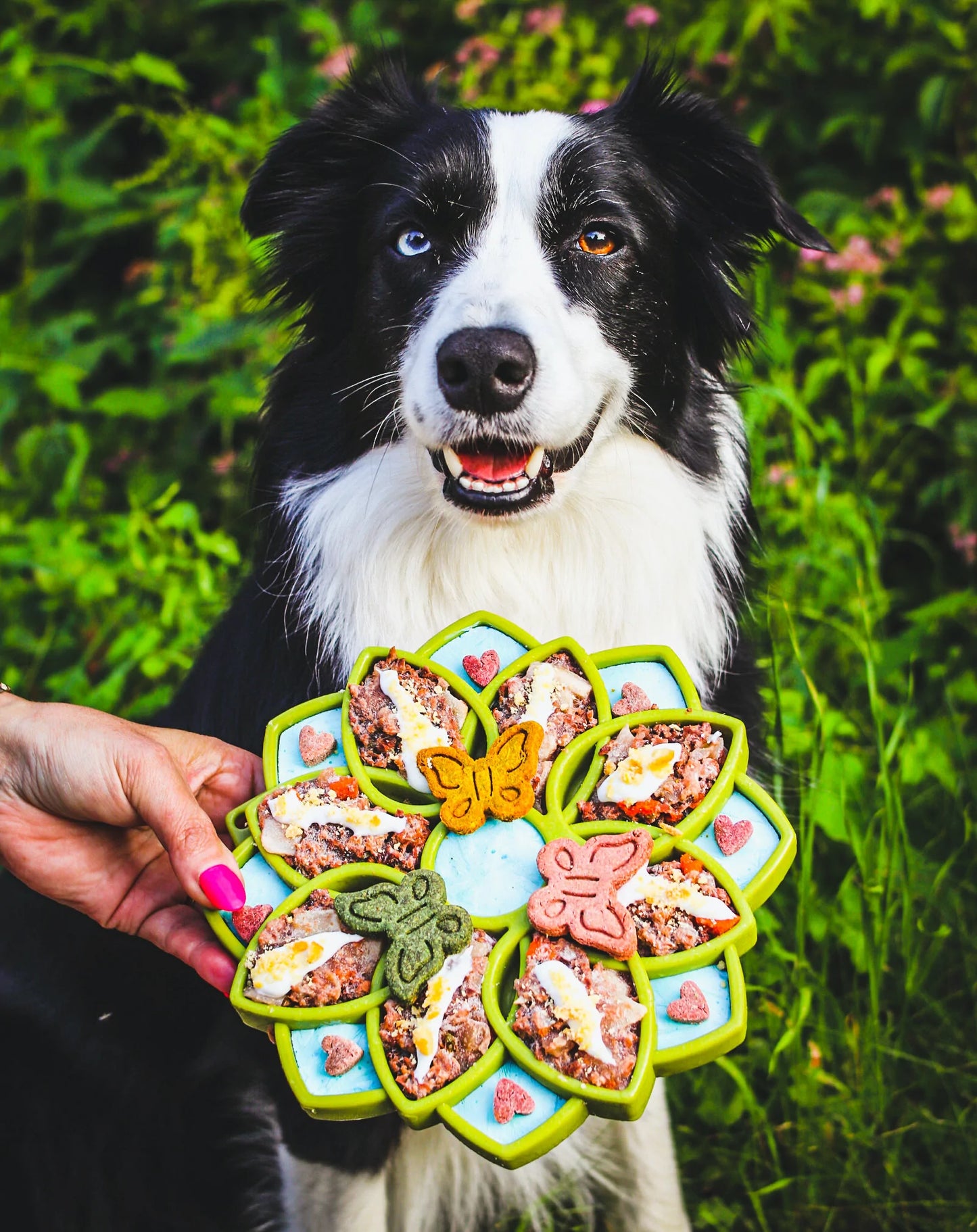 SodaPup Mandala etray Slow Feeder for Dogs