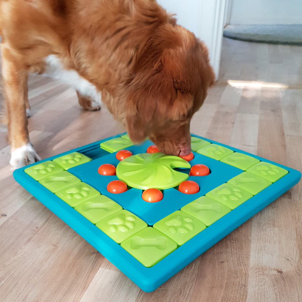 Dog MULTIPUZZLE by Nina Ottosson