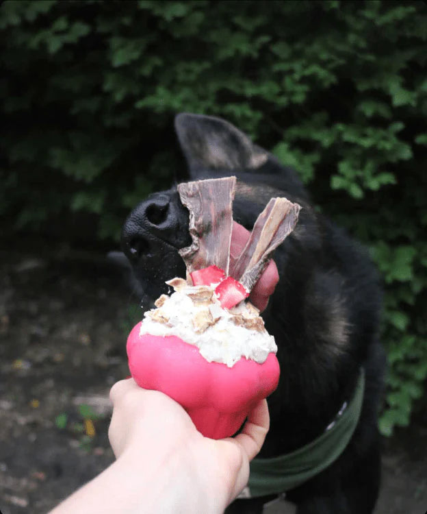 SodaPup Cupcake Durable Rubber Chew Toy & Treat Dispenser