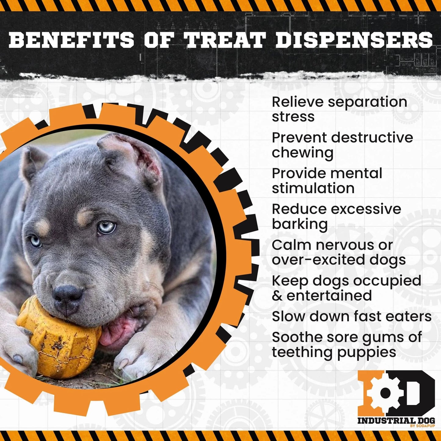 SodaPup Gear Treat Holder & Chew Toy