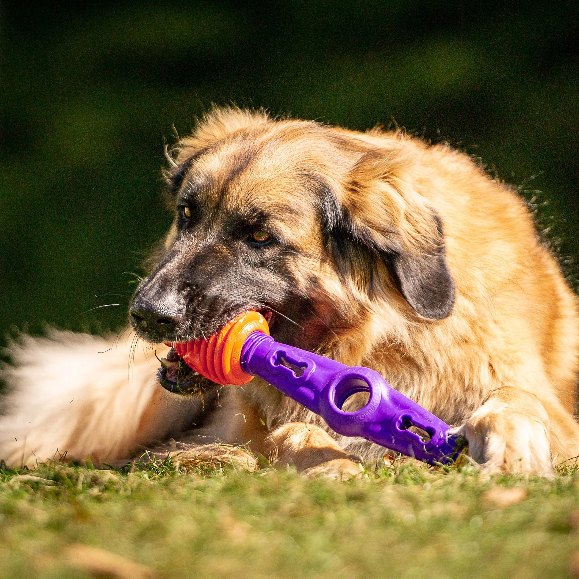 Tech Bone K9 Connectables Small