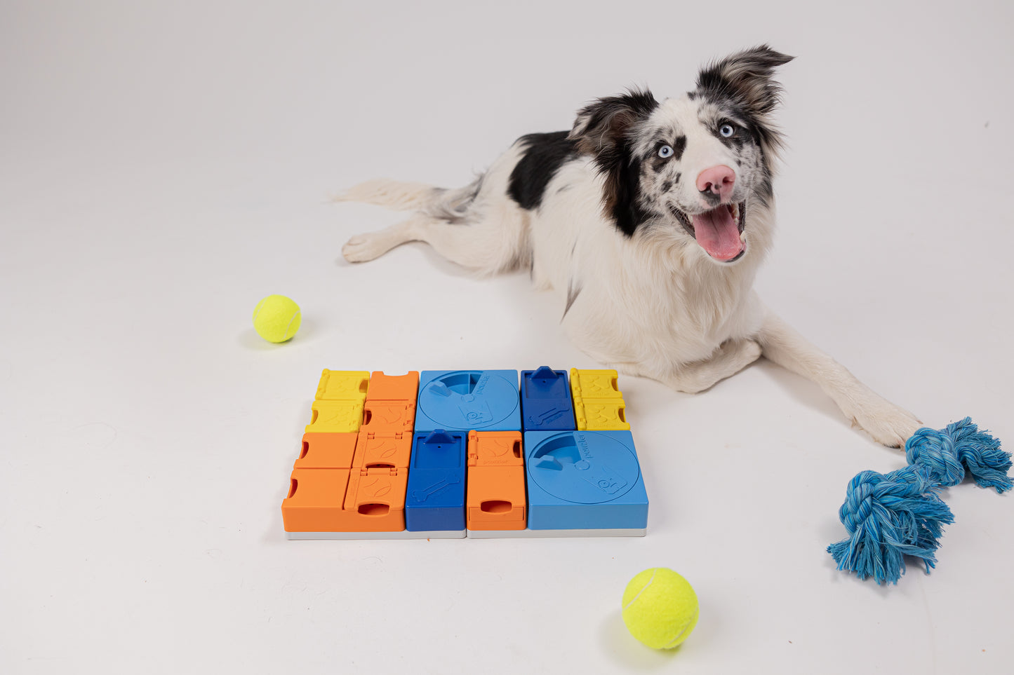 Pawzler Modular Dog Puzzles