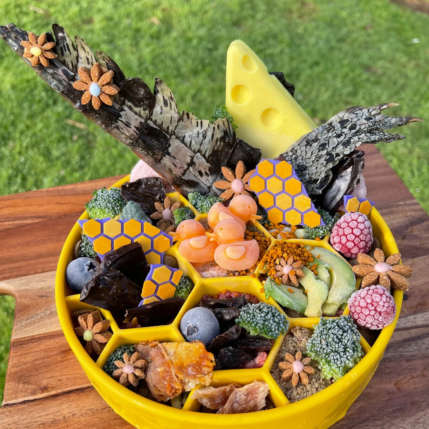 SodaPup Honeycomb Enrichment Bowl