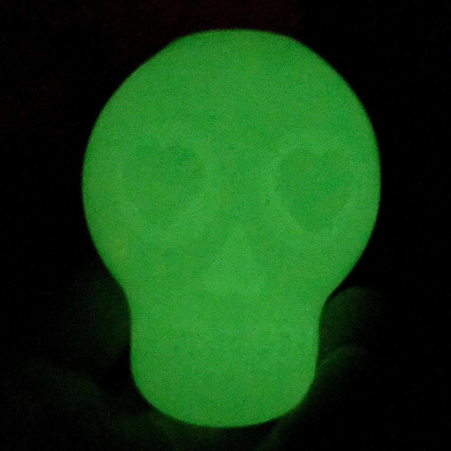 SodaPup Sugar Skull Glow in the Dark