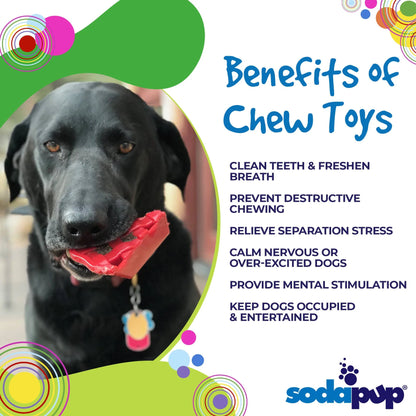 SodaPup Cherry Pie Ultra Durable Nylon Dog Chew and Treat Holder for Aggressive Chewers