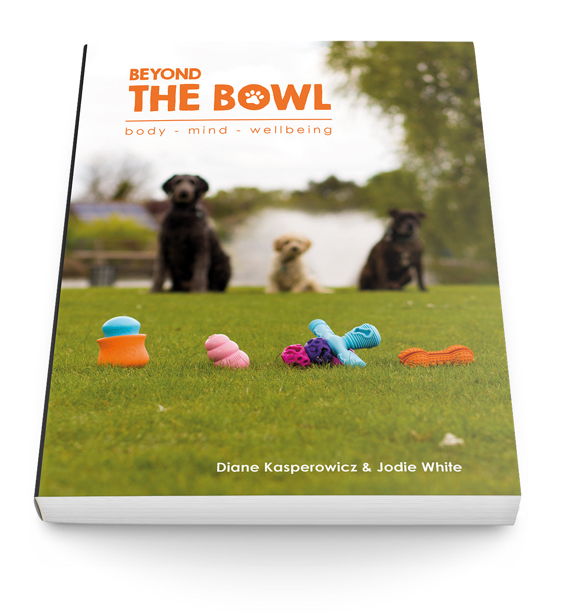Beyond The Bowl - by Diane Kasperowicz and Jodie White