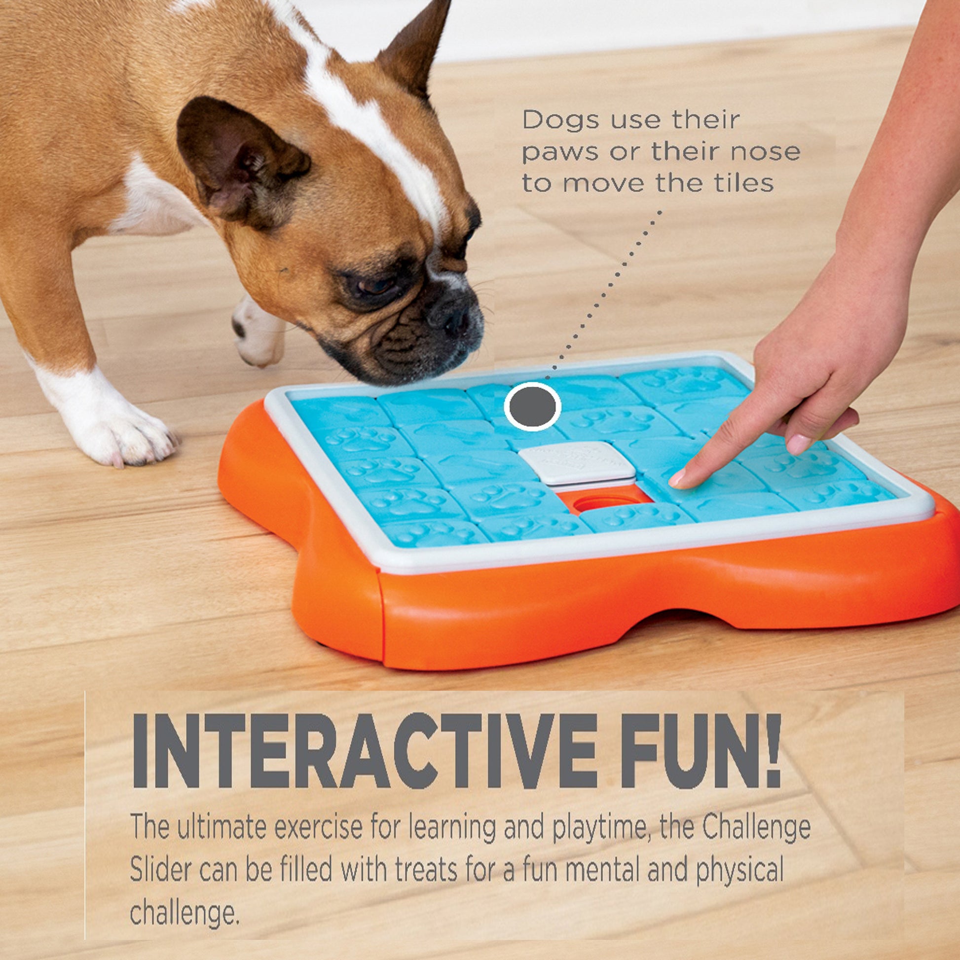 Buy Outward Hound Nina Ottosson Dog Twister Puzzle for Dogs (Level 3  Advanced) Online