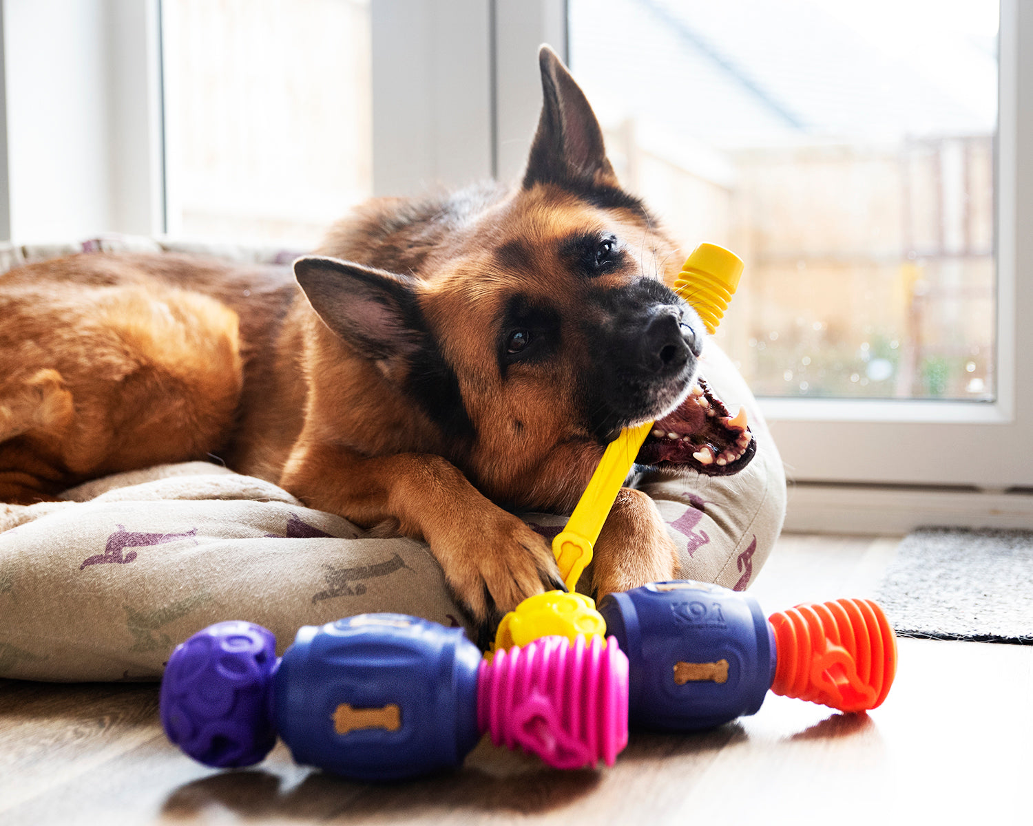 K9 training toys best sale